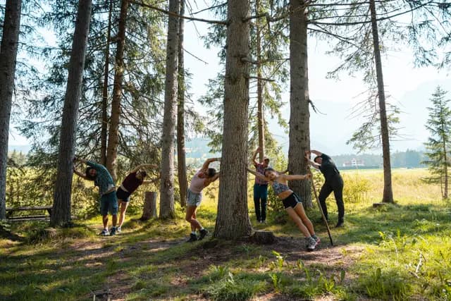Übungen im Wald