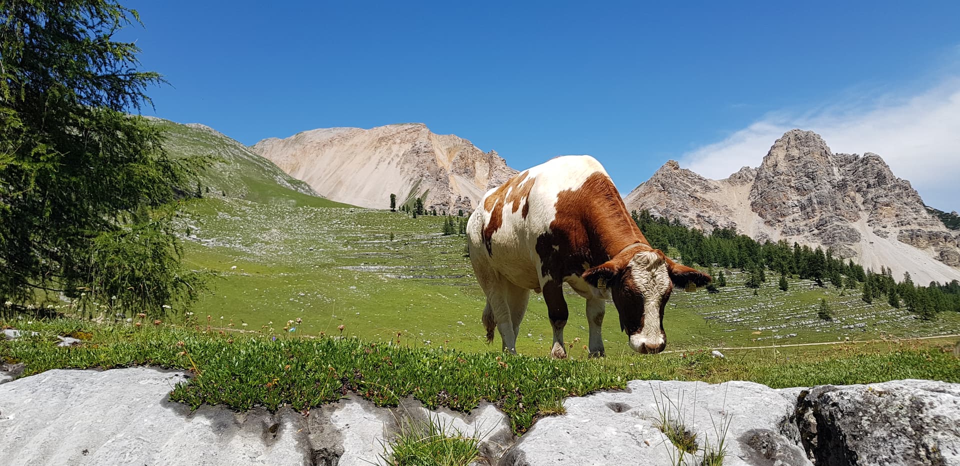 Hiking and tasting 4