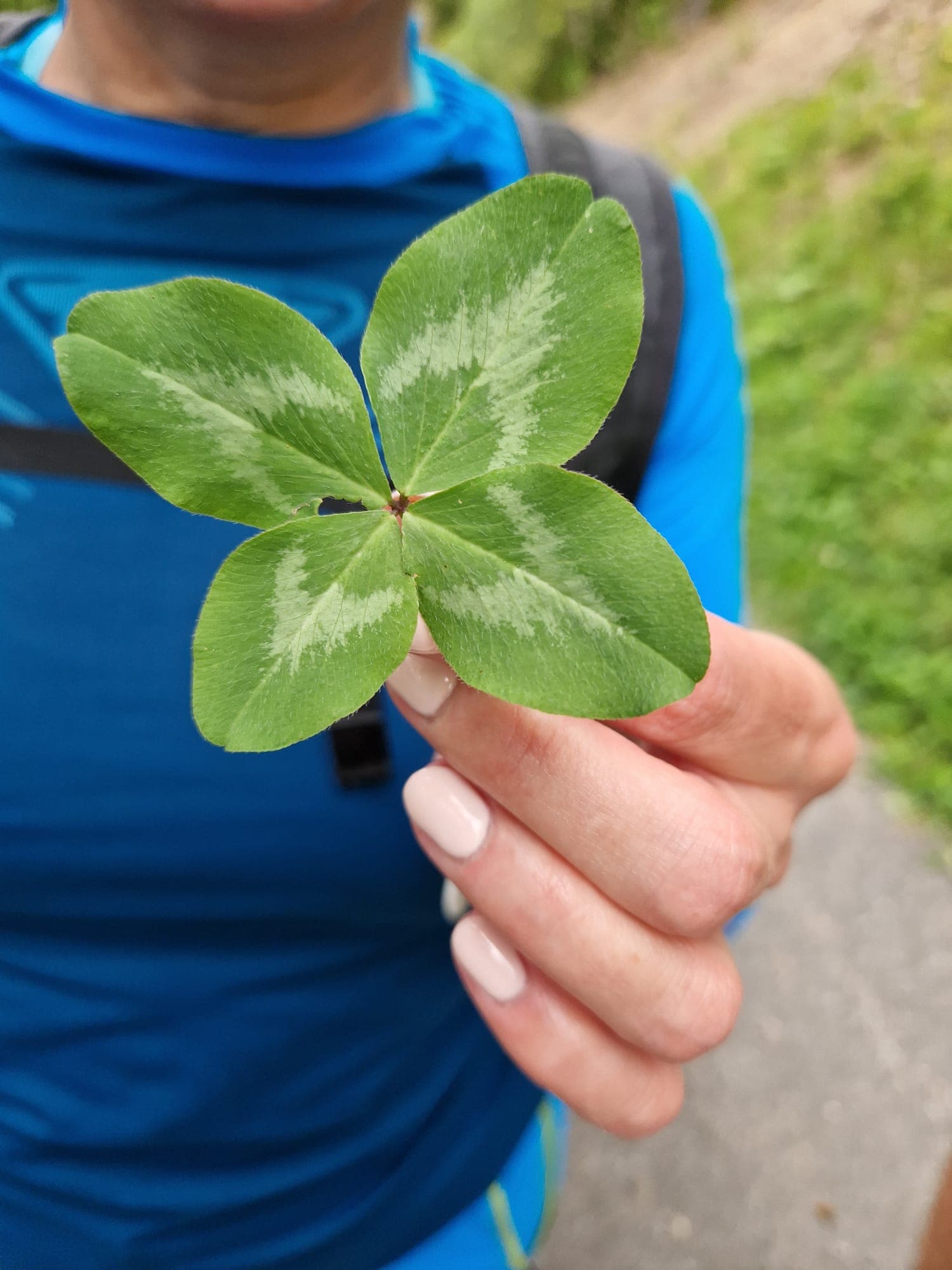 Entdecken Sie die unberührte Natur: ein Abenteuer, das Sie nicht verpassen sollten! 3