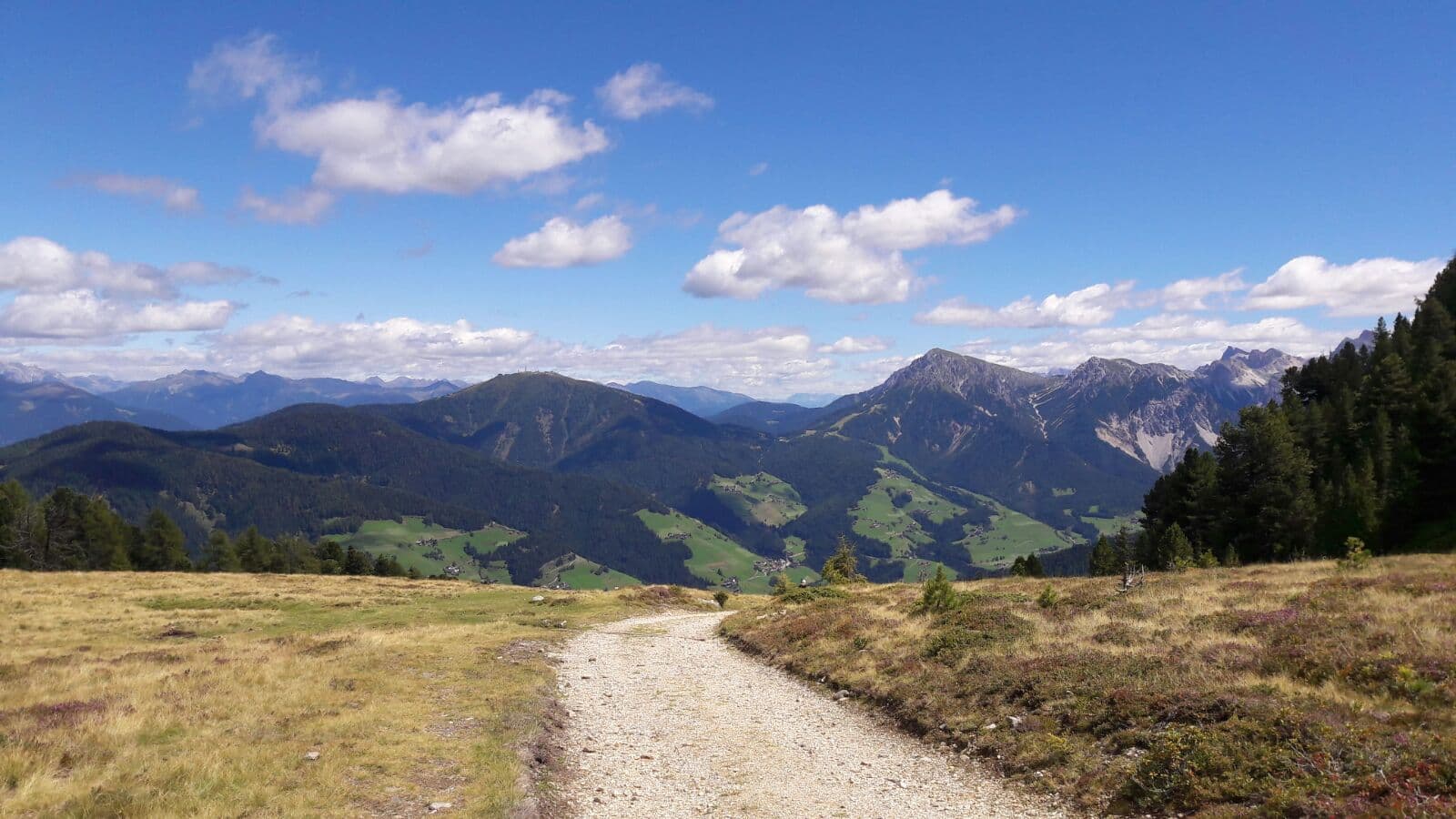 Entdecken Sie die unberührte Natur: ein Abenteuer, das Sie nicht verpassen sollten! 5